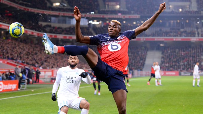 Nigeria’s Victor Osimhen named Lille Player of the season