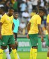 Attacker Percy Tau is a notable absentee in Broos squad for this month's 2025 Africa Cup of Nations qualifiers against Congo