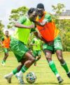 Kenya's Salim Babu names Cup of Nations U20 provisional squad
